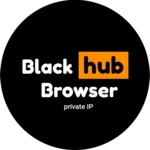 black hub browser - browser an android application logo